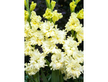 8,45���. ��������� ����� �������(���������� ������ ������ ���������� �� 8 ��.)���17.jpg