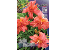 172,1���. �������� ���� ������(�������� ���� �� 1 ��., ����������� ����� 1��.).jpg