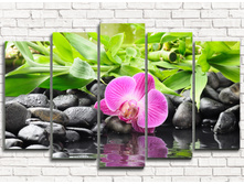 ������������ ������� 5-1.jpg