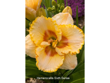 172,1���. �������� ���� ����(�������� ���� �� 1 ��., ����������� ����� 1��.).jpg