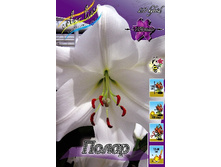 45,02���. ����� �����(��� 5 ��. ���������� �� 2��.).jpg