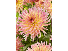 88,7���. �������� ����� �������(�������� ���� �� 1 ��., ����������� ����� 1��.).jpg