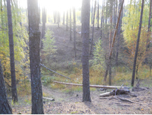 DSCN3208.JPG