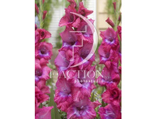 13,2���. ��������� ������(���������� �� ����� �������� �� 7��.)���17.jpg