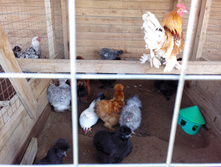 IMG 20161002 121327.jpg