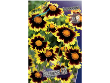 101,85���. ��������� ������ ��(�������� ���� �� 2 ��., ����������� ����� 1��.).jpg