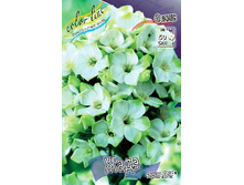 117,65���. ����� NEON ����(�������� ���� �� 2 ��., ����������� ����� 1��.).jpg