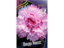 79,75���. �������� ����� �����(�������� ���� �� 2 ��., ����������� ����� 1��.).jpg