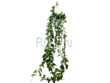 ������ ���� ���� ��������� 17�130. 826,04 ���.jpg