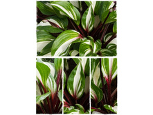 259���. ����� ��������� ������(�������� ���� �� 1 ��., ����������� ����� 1��.).jpg