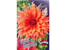 83,5���. �������� ����� �� �������(�������� ���� �� 1 ��., ����������� ����� 1��.).jpg