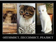 ��������, ���������, �������)