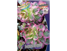 65,5���. ��������� ����������(�������� ���� �� 2 ��., ����������� ����� 1��.).jpg