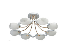 324012708 6300�.jpg