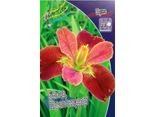 84,5���. ���� (louisiana) ���� ���������(�������� ���� �� 2 ��., ����������� ����� 1��.).jpg