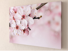 ����� 1-1.jpg