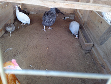 IMG 20161002 122057.jpg