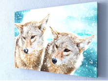 ����� 1-1.jpg