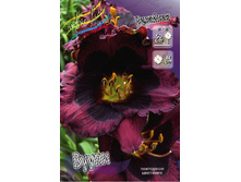 156,3���. �������� �����(�������� ���� �� 1 ��., ����������� ����� 1��.).jpg