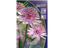 132,6���. ��������� ����(�������� ���� �� 1 ��., ����������� ����� 1��.).jpg