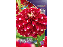 81,8���. �������� ��� ���(�������� ���� �� 1 ��., ����������� ����� 1��.).jpg