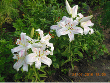 DSCN2138.JPG