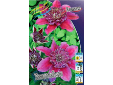 239,25���. �������� �����������(�������� ���� �� 2 ��., ����������� ����� 1��.).jpg