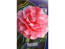 79,75���. �������� ������(�������� ���� �� 2 ��., ����������� ����� 1��.).jpg