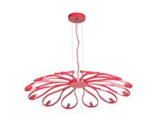 657010612 8100�.jpg