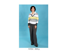 919361 2830���.jpg