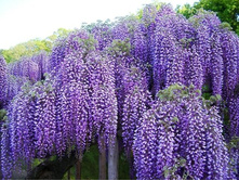 508���. �������� ����������� ��� ���.jpg