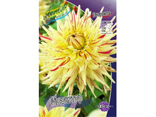 83,5���. �������� ��������(�������� ���� �� 1 ��., ����������� ����� 1��.).jpg