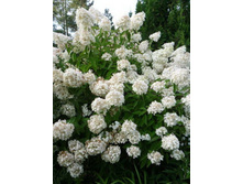 ��������� ��� ����������� �1,5-168�.jpg