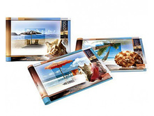 226.5���. ��� 78594 V ���������� 10� ����� 199 ������� ������ ��������� Image Art.jpg