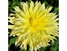 96,3���. �������� ���������(�������� ���� �� 1 ��., ����������� ����� 1��.)���17.jpg