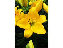 18,9���. ����� ������ ���(��� 7 ��. ���������� �� 2��.)���17.jpg