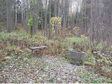 DSCN3218.JPG