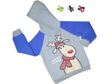 ��������� ���Σ���