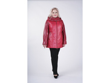 ����� ���������.JPG