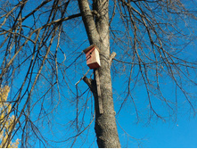 P 20161002 110119.jpg