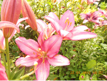 DSCN1539.JPG