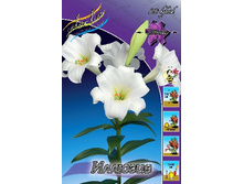 24,81���. ����� �������(��� 7 ��. ���������� �� 2��.).jpg