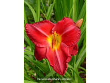 101,85���. �������� ������ ��������(�������� ���� �� 2 ��., ����������� ����� 1��.)���16.jpg