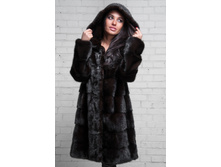 �������� ���� � ��������� ���� №441