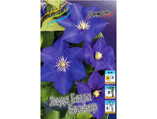 124,3���. �������� ���� ����� ������(�������� ���� �� 2 ��., ����������� ����� 1��.).jpg