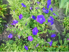 DSCN2149.JPG