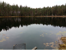 ����������