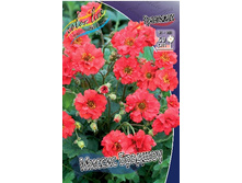 62,35���. �������� ������ �������(�������� ���� �� 2 ��., ����������� ����� 1��.).jpg