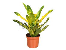 ������� ����� ���� 8�25. 124,95 ���.jpg