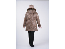 ������ ��������� ����..JPG